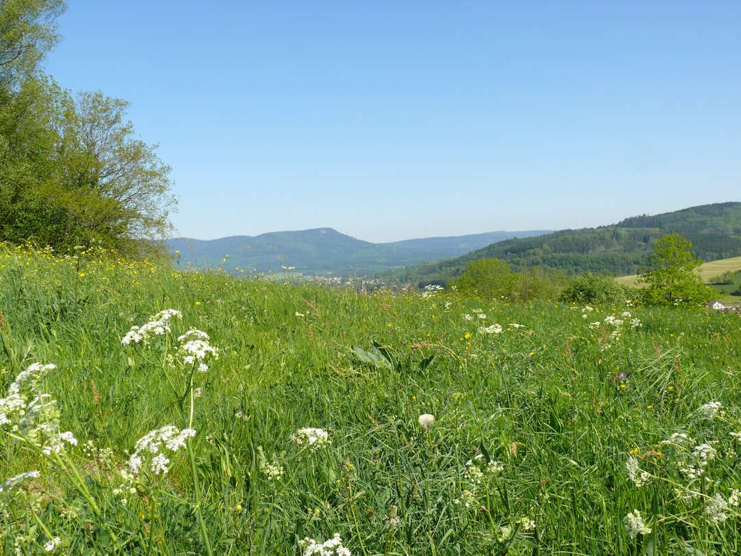 Paysage vallonné de Creuse